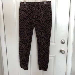 Loft brown and black leopard print velvet-like pants size 28/6